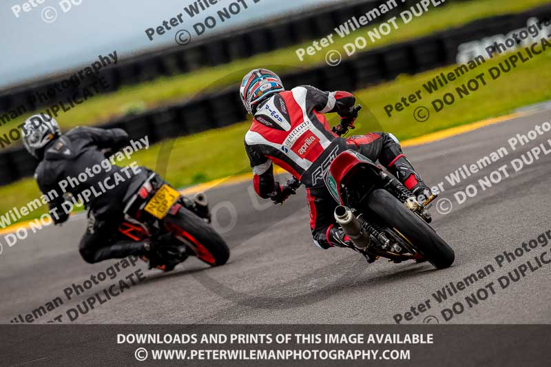 PJ Motorsport 2019;anglesey no limits trackday;anglesey photographs;anglesey trackday photographs;enduro digital images;event digital images;eventdigitalimages;no limits trackdays;peter wileman photography;racing digital images;trac mon;trackday digital images;trackday photos;ty croes